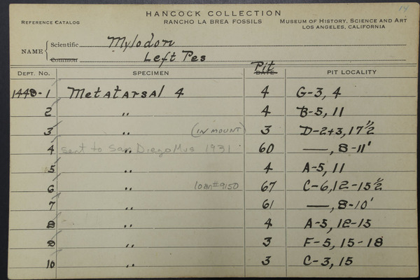 NCC 1448 (2)